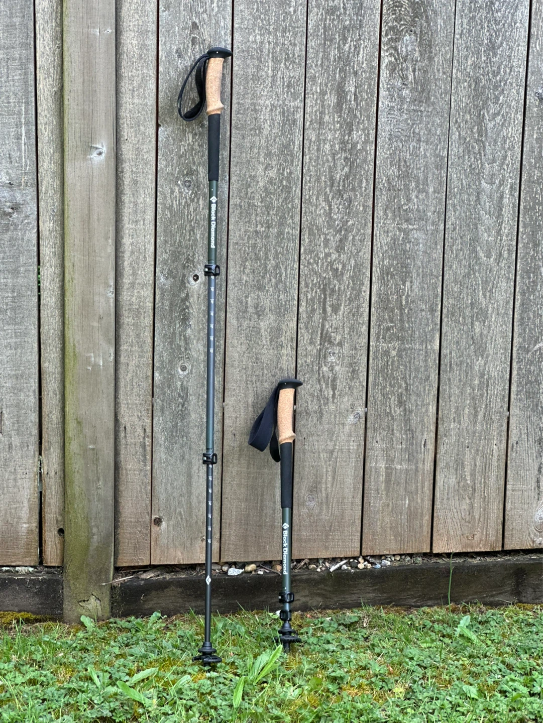 Black Diamond Alpine Carbon Cork Trekking Poles – Carbon Fiber - photo 4