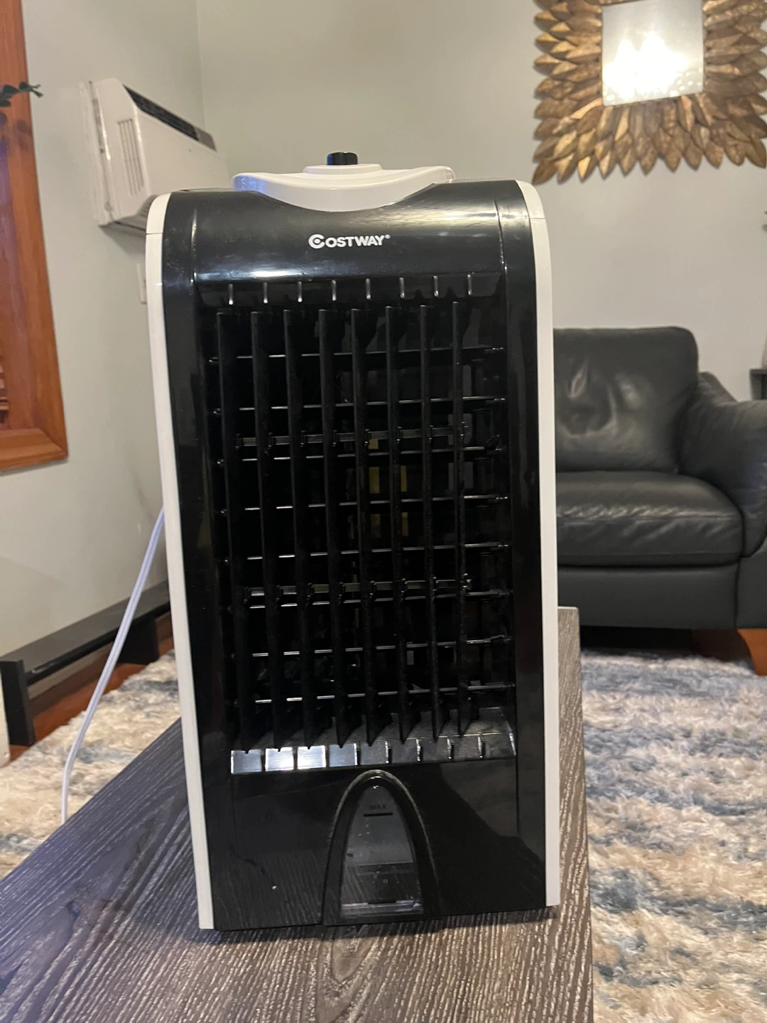 Costway Portable Air Cooler - photo 2