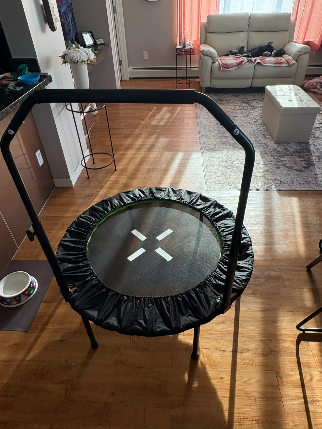 Rebounder Fitness Trampoline with Handle - photo 2