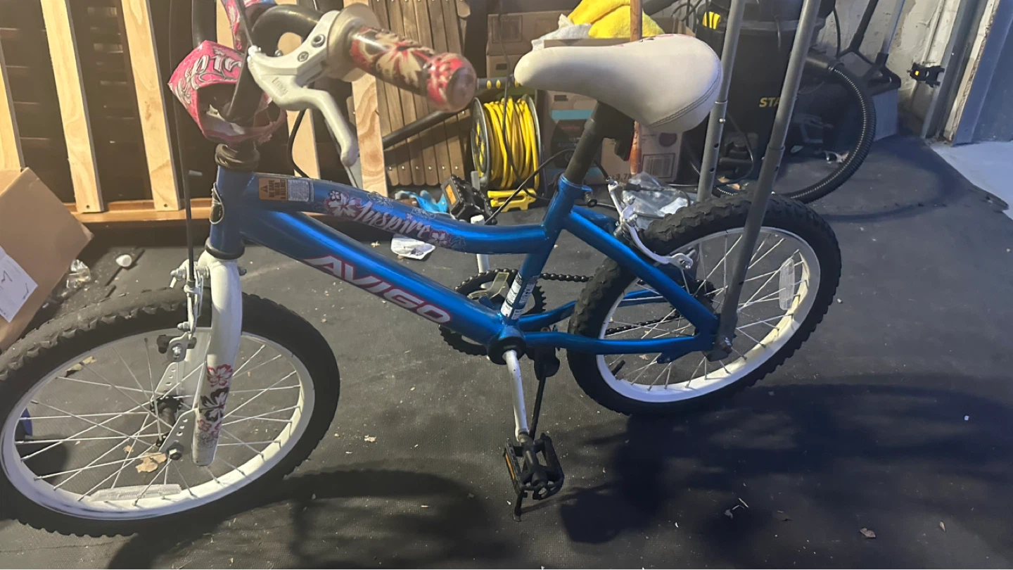Avigo Blue girls Bicycle