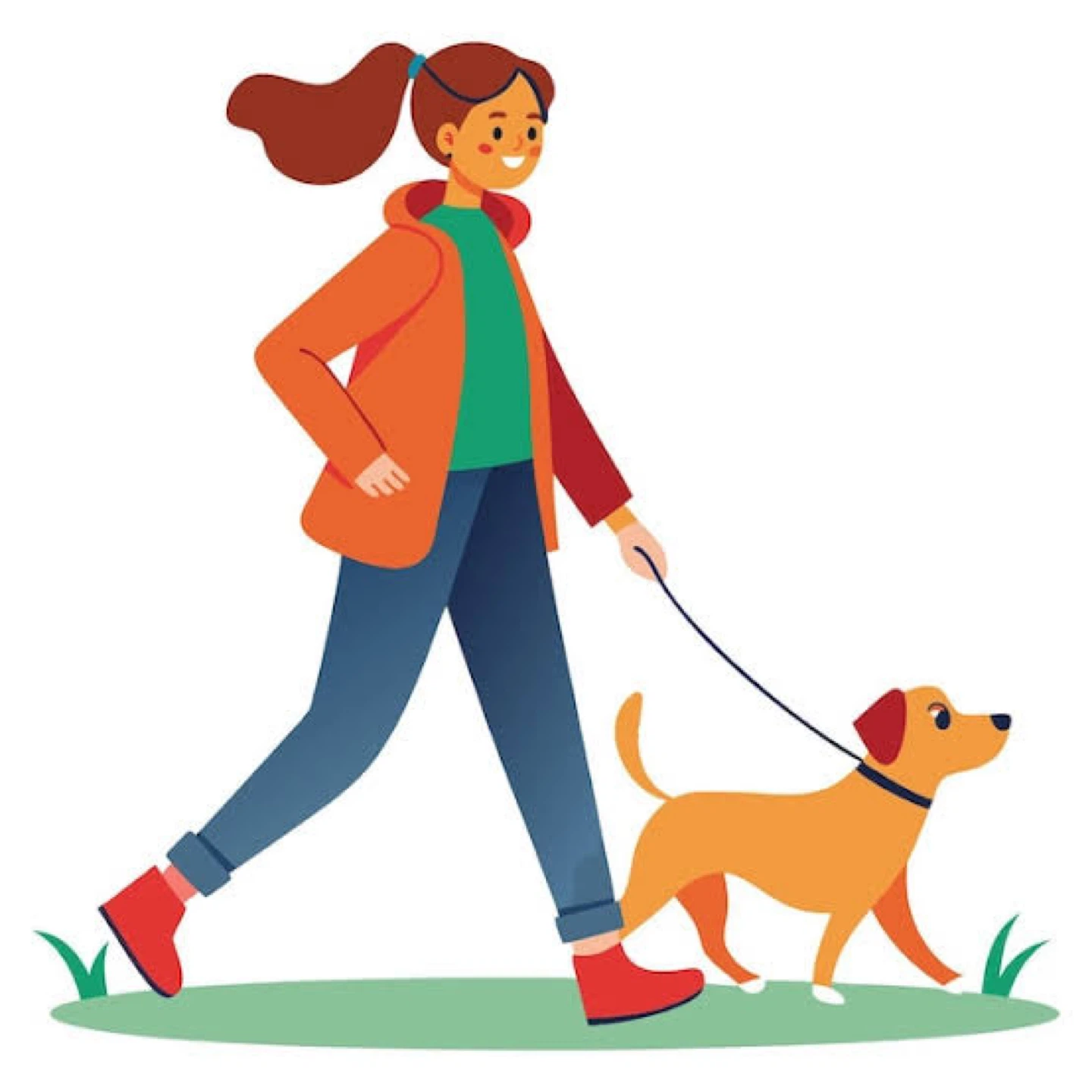 Dog walking