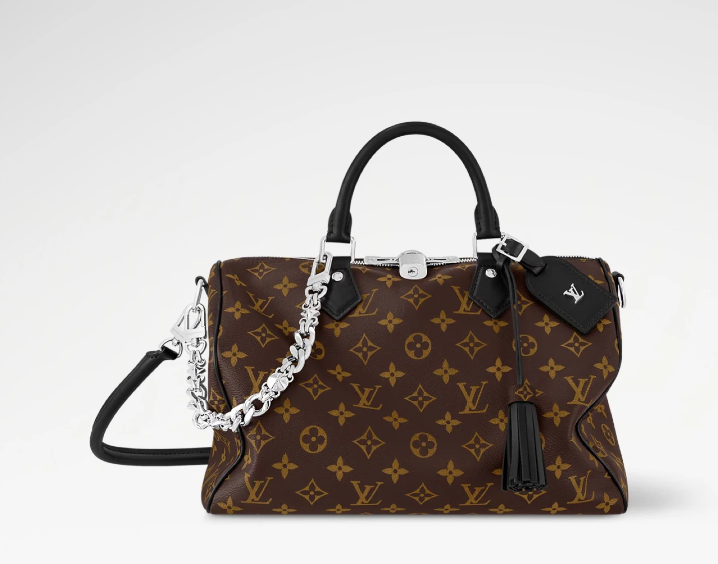 Louis Vuitton Speedy Monogram Bag