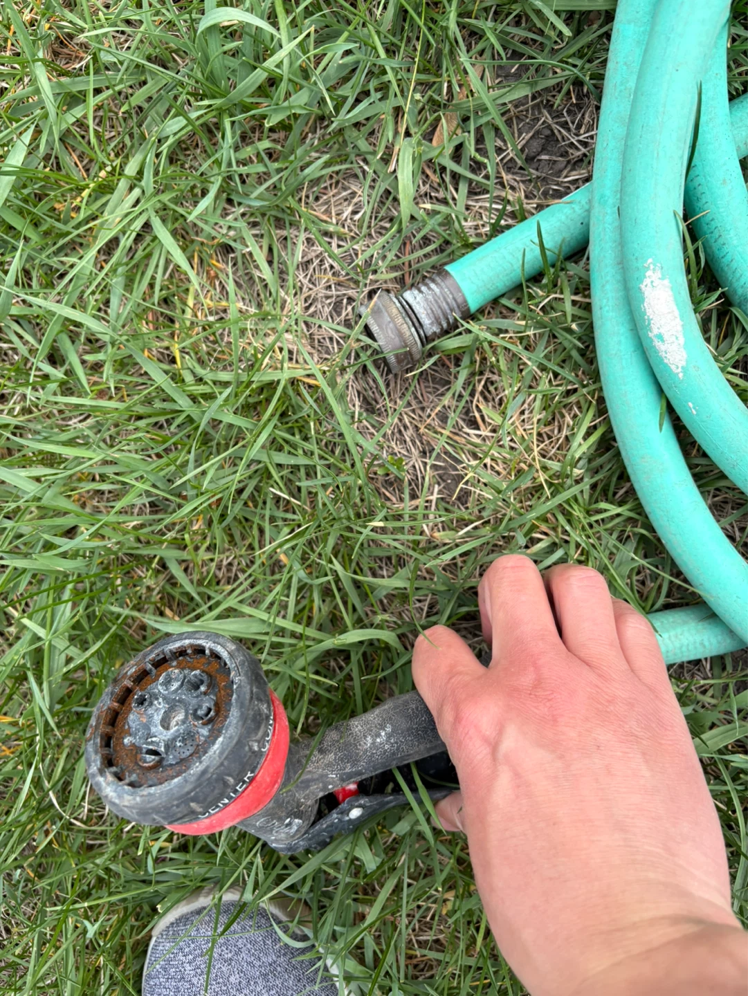 Green Garden Hose with Spray Nozzle 50ft - photo 3