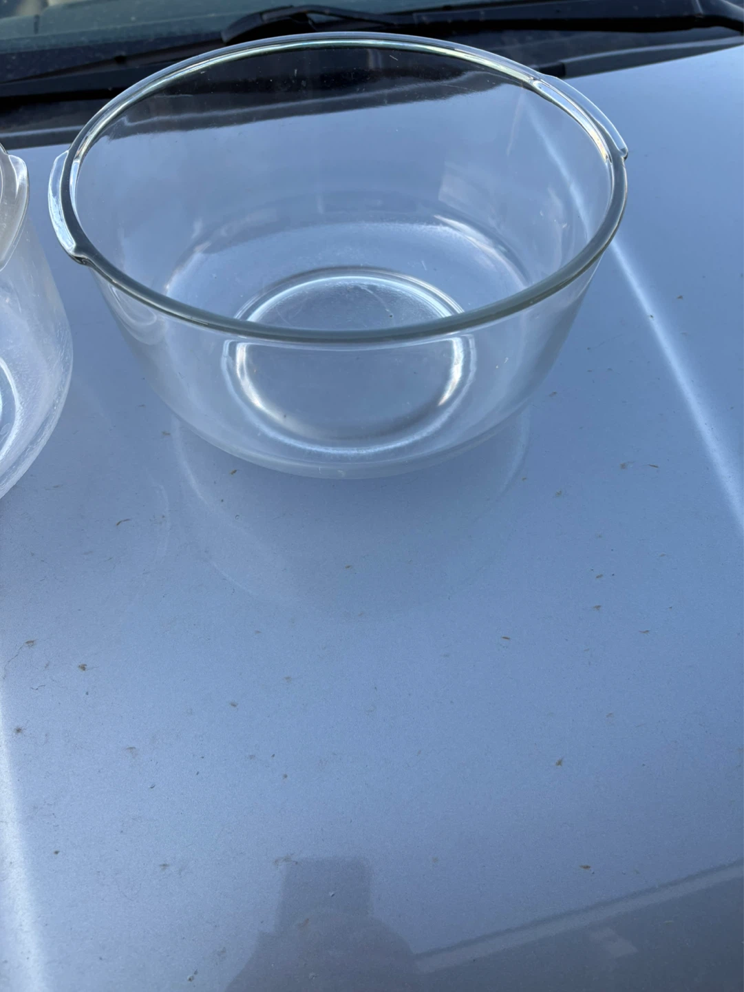 Glass Mixing Bowls (Set of 2)