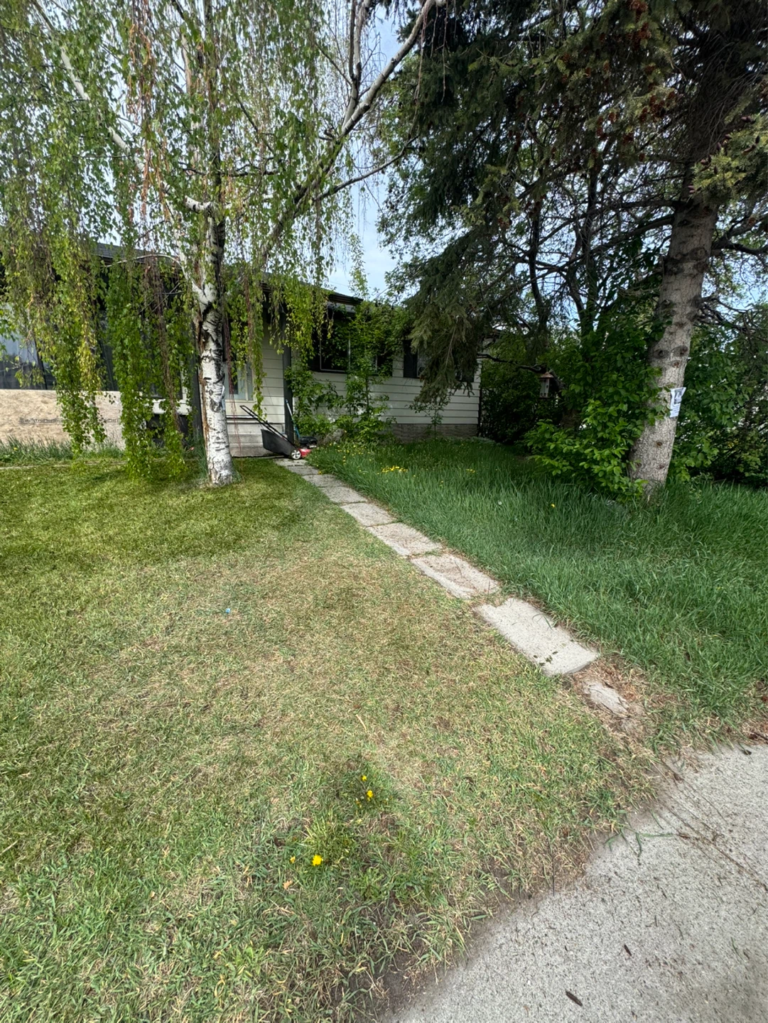 Grass cutting
