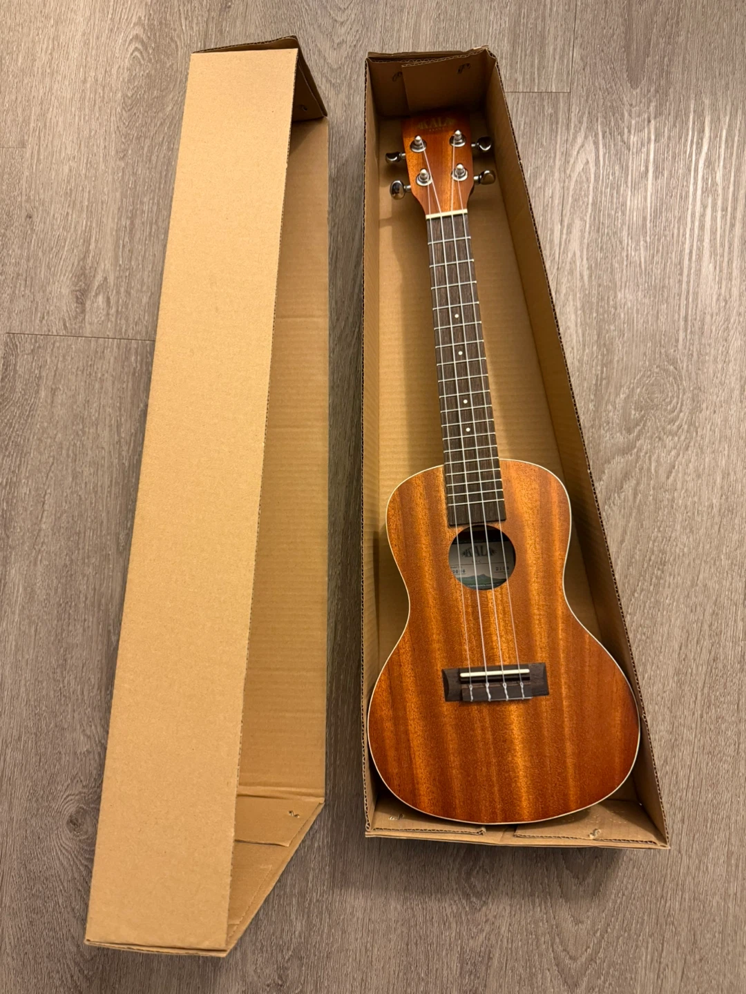 Kala KA-C Mahogany Concert Ukulele
