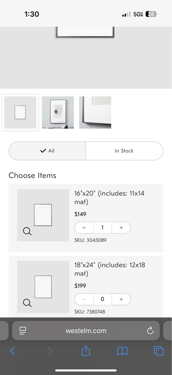 West Elm 16x20 Silver Frame