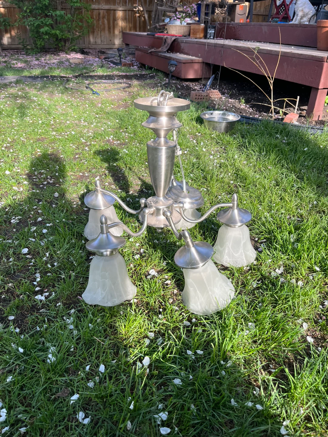 Satin Nickel 5-Light Chandelier with Frosted Glass Shades