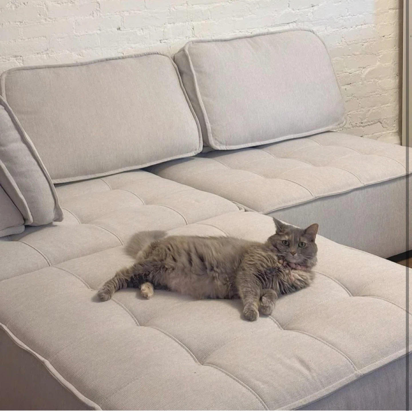 Structube LEON Modular Sectional Sofa - Beige