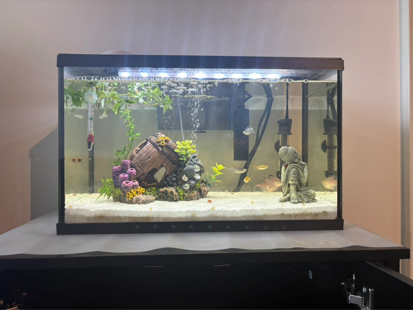 Marina LED Aquarium Kit, 38 Litre &  Fish Tank Stand - photo 2