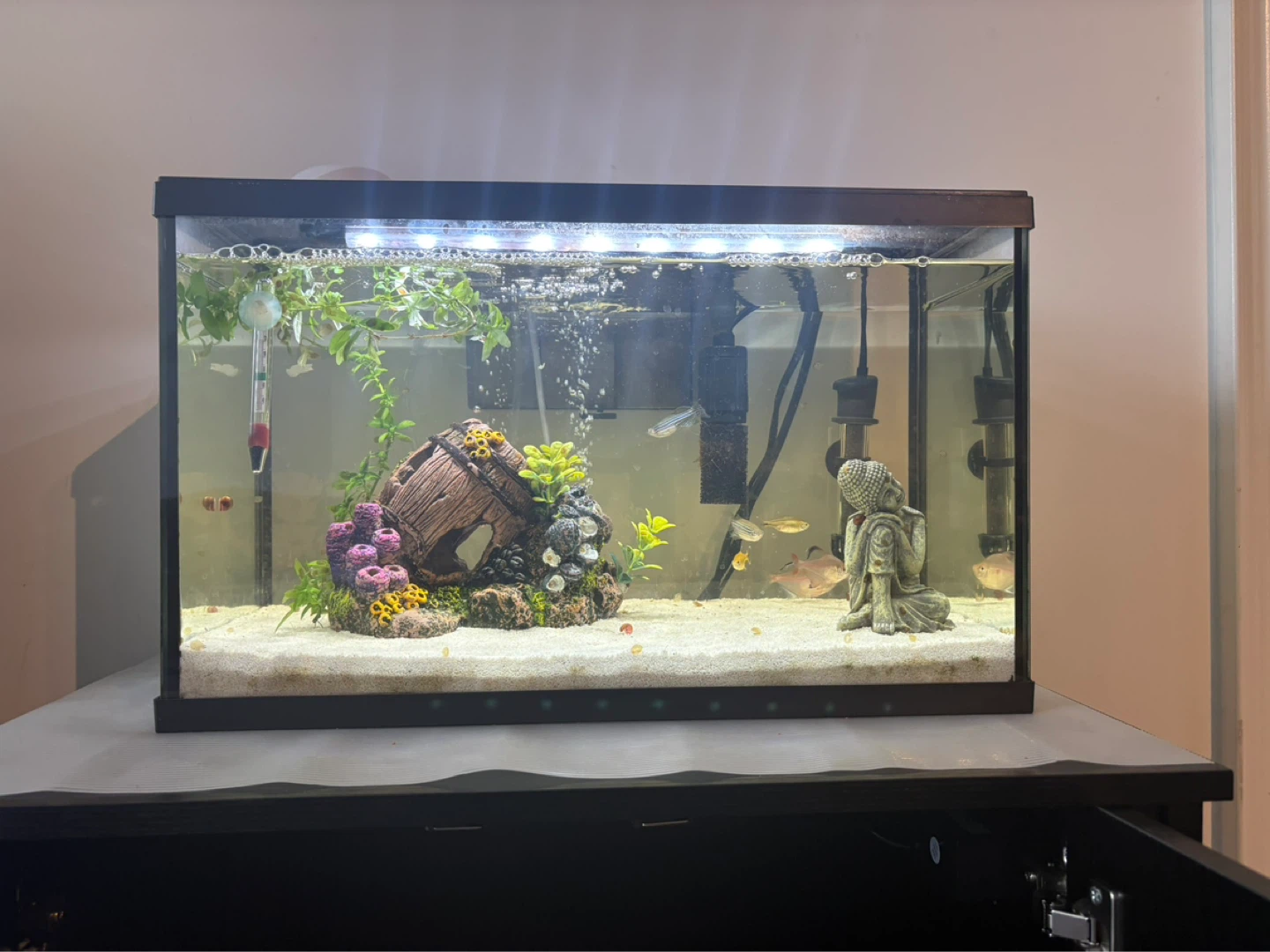 Marina LED Aquarium Kit, 38 Litre &  Fish Tank Stand