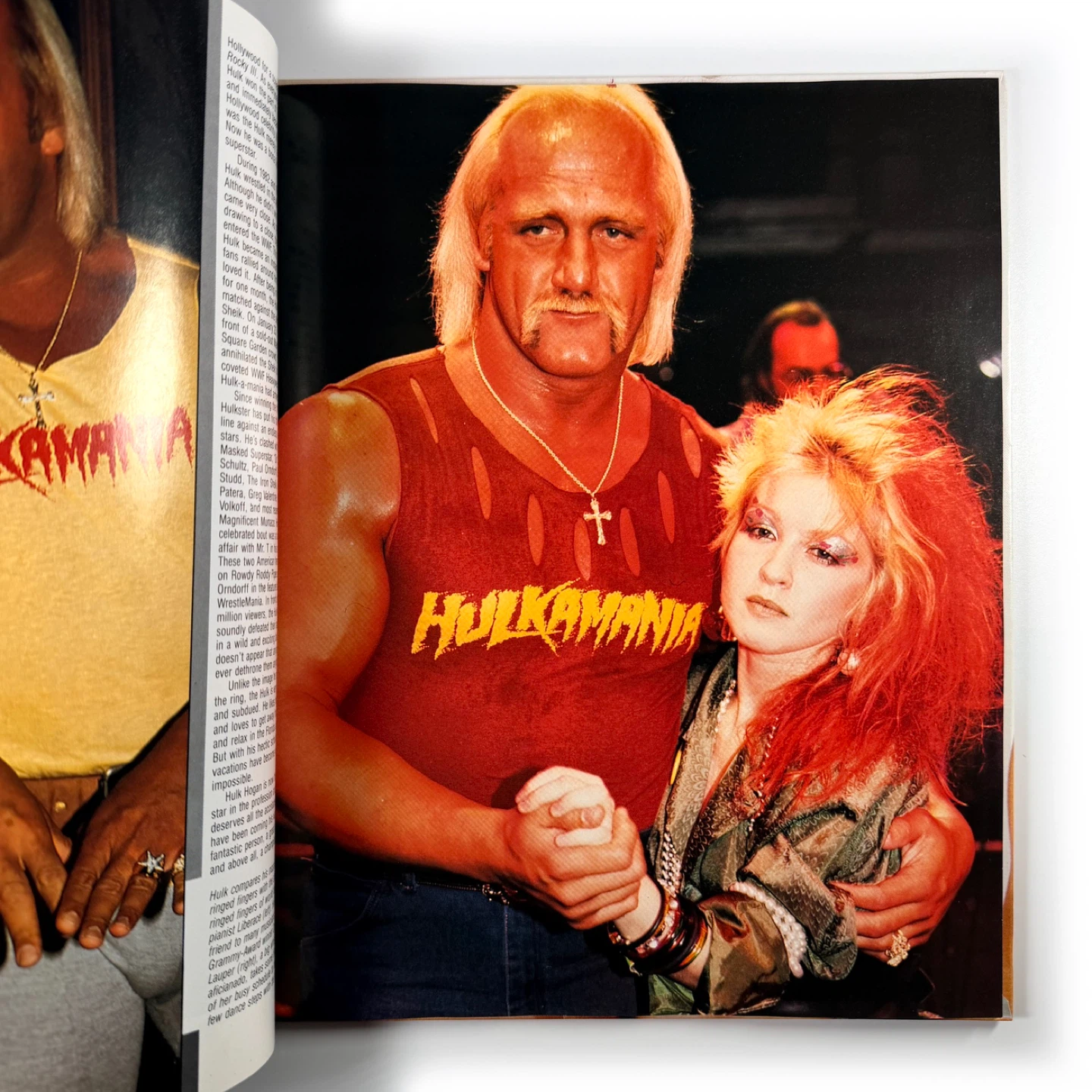 1985 Wrestling Heroes & Villains Book - photo 3