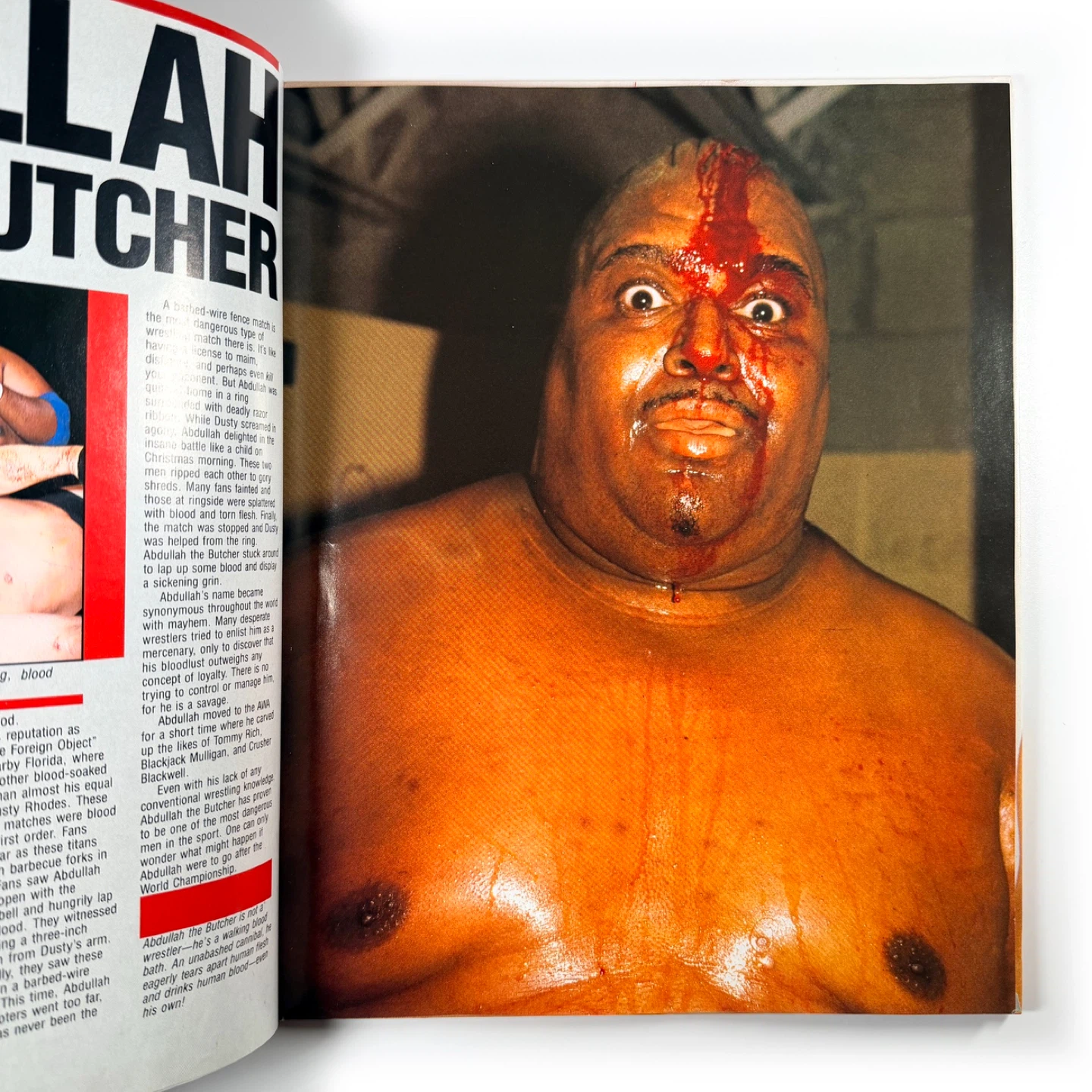 1985 Wrestling Heroes & Villains Book - photo 4