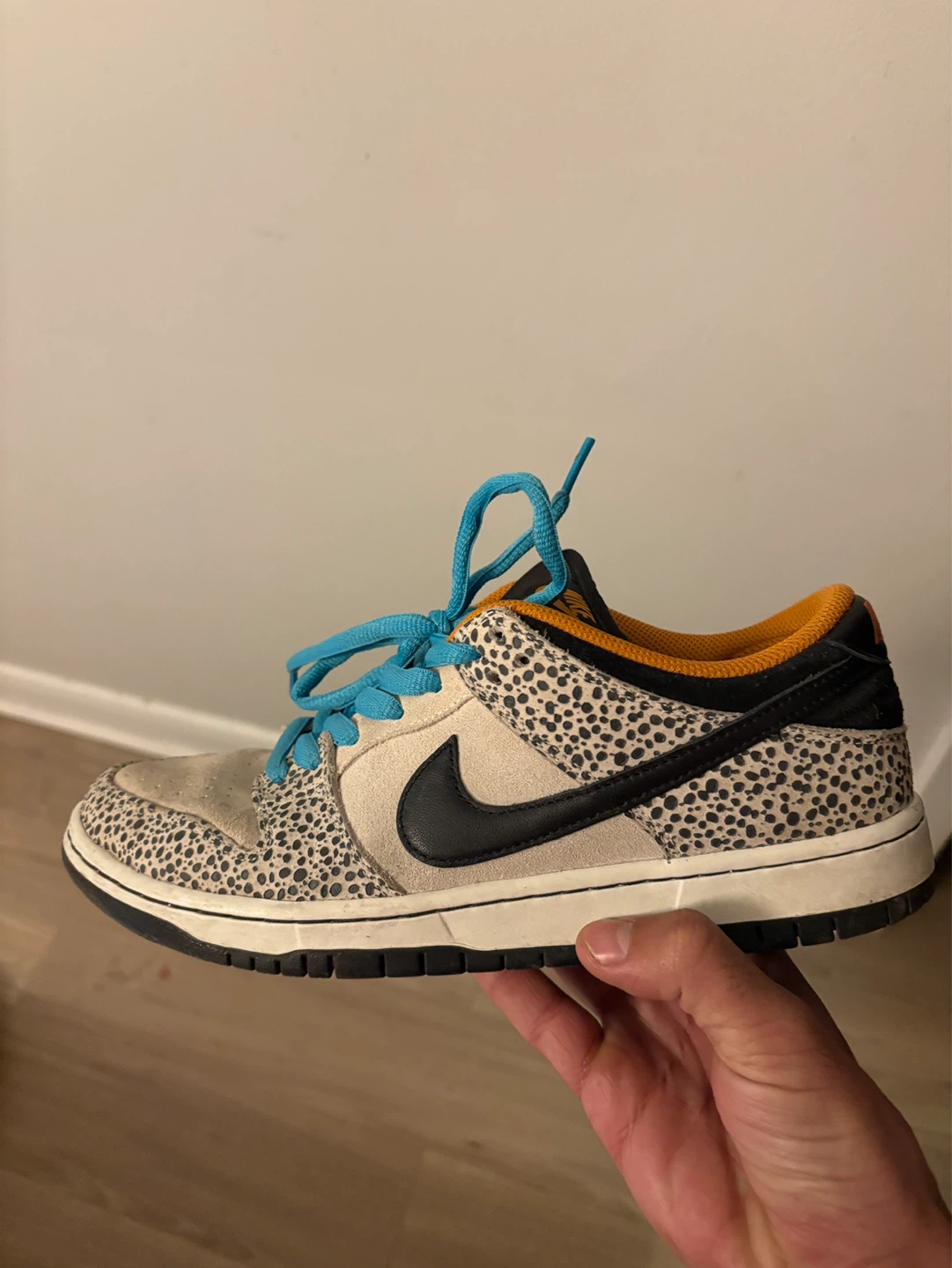 Nike SB Dunk Low Pro