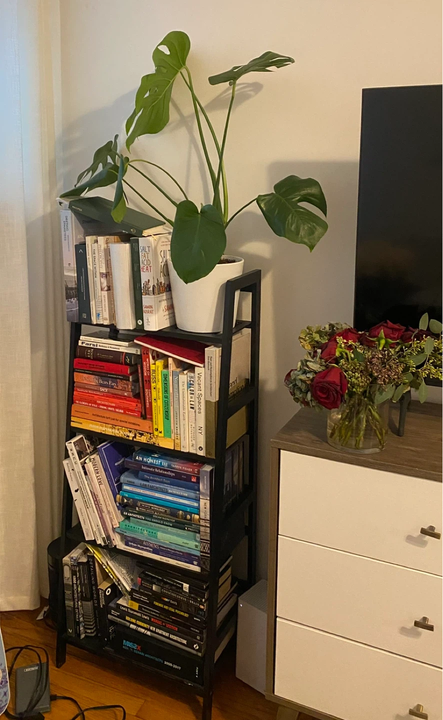 Black Bamboo Bookshelf
