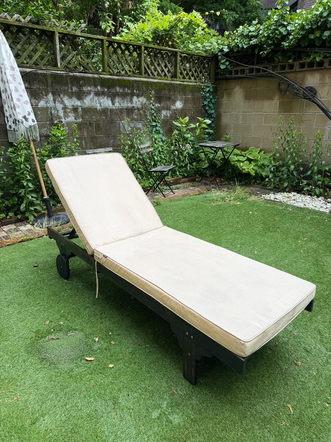 Wooden Outdoor Chaise Lounge with Cushion