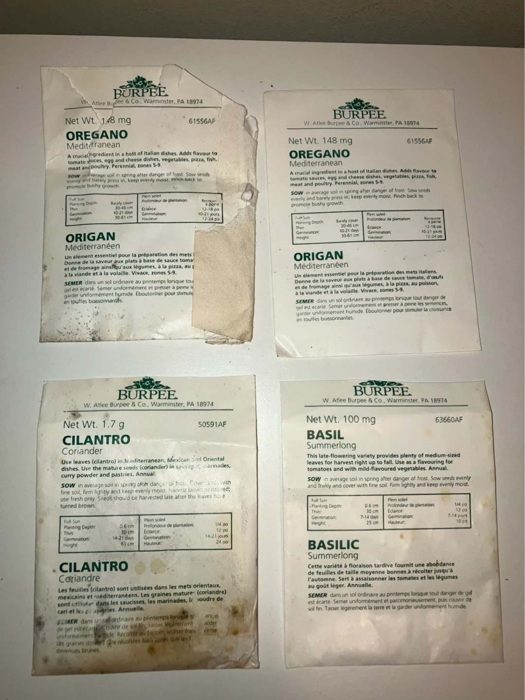 Burpee Mediterranean Oregano Seeds (148 mg)
