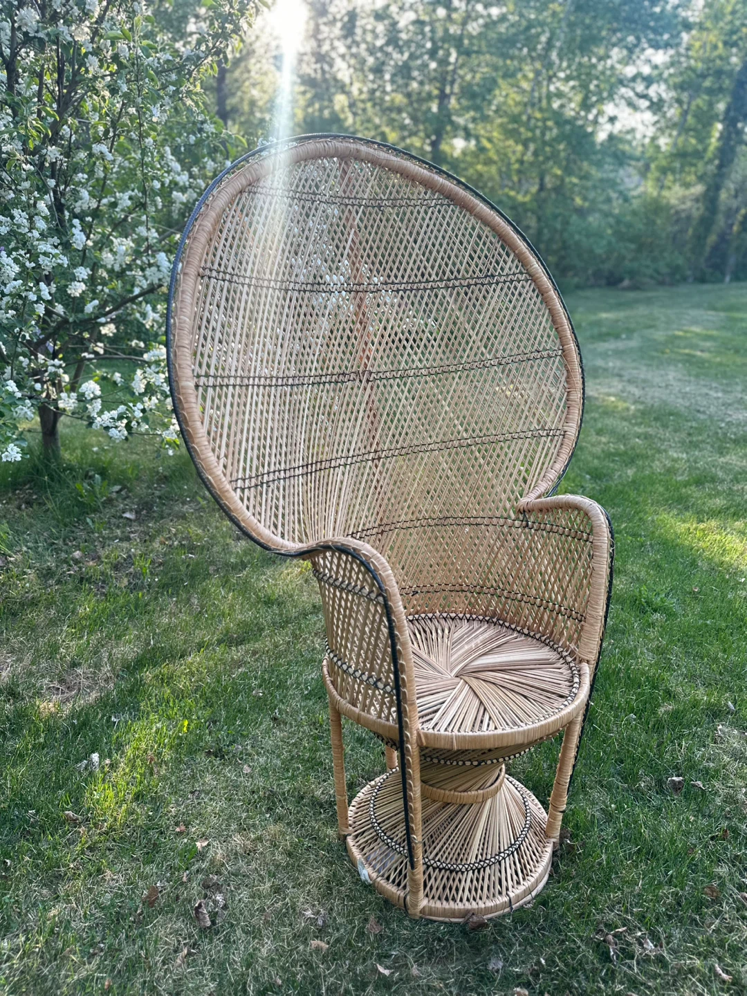 Vintage Rattan Peacock Chair - photo 2