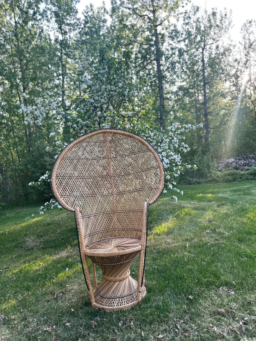 Vintage Rattan Peacock Chair - photo 3