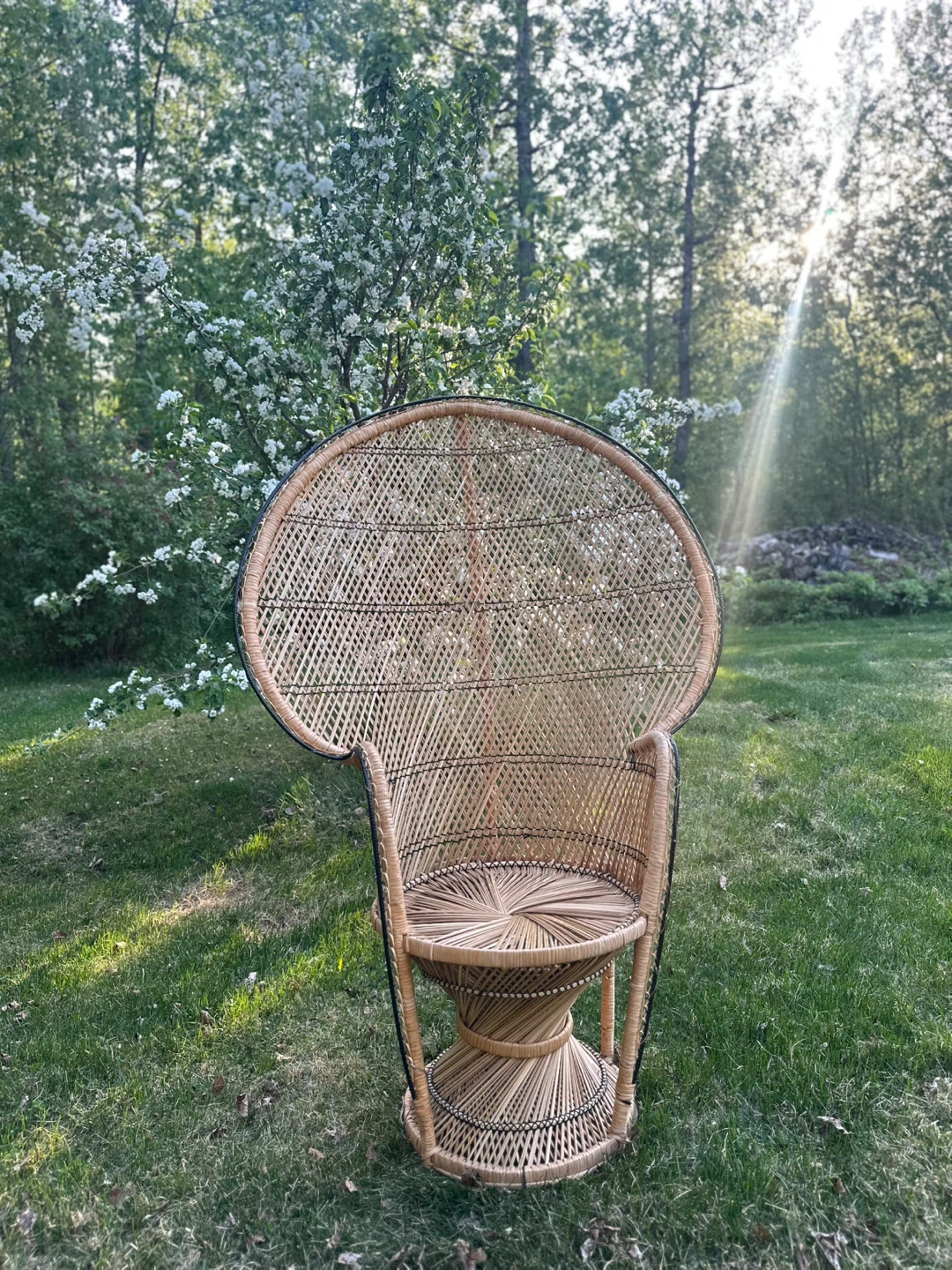 Vintage Rattan Peacock Chair