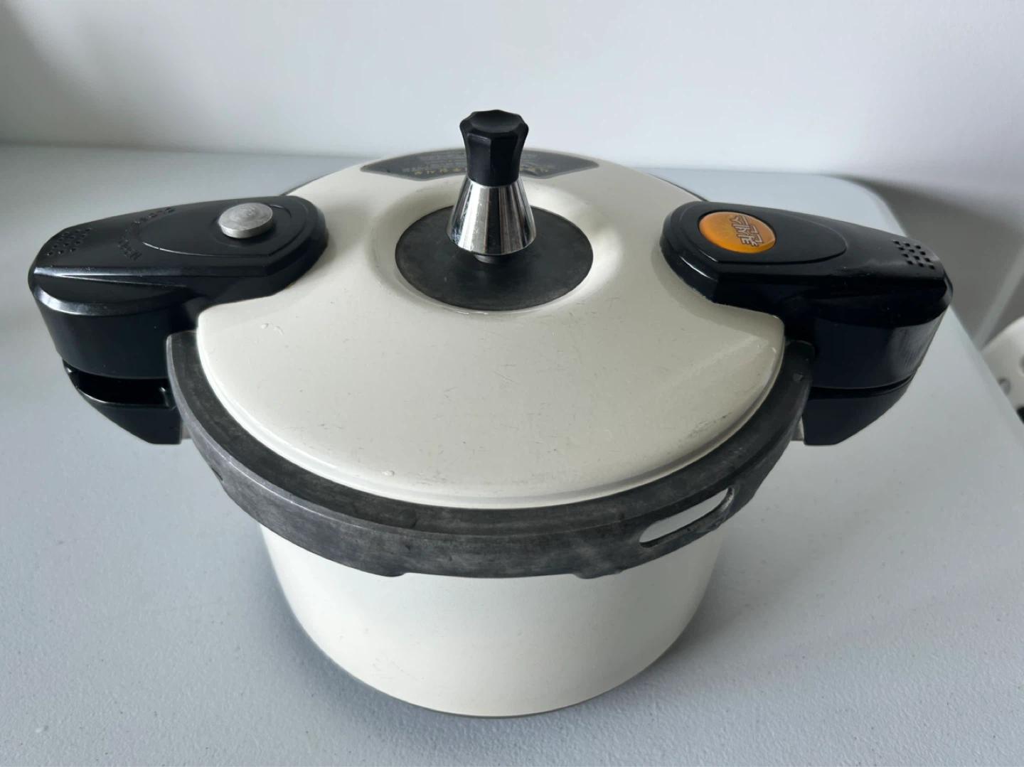 White Pressure Cooker