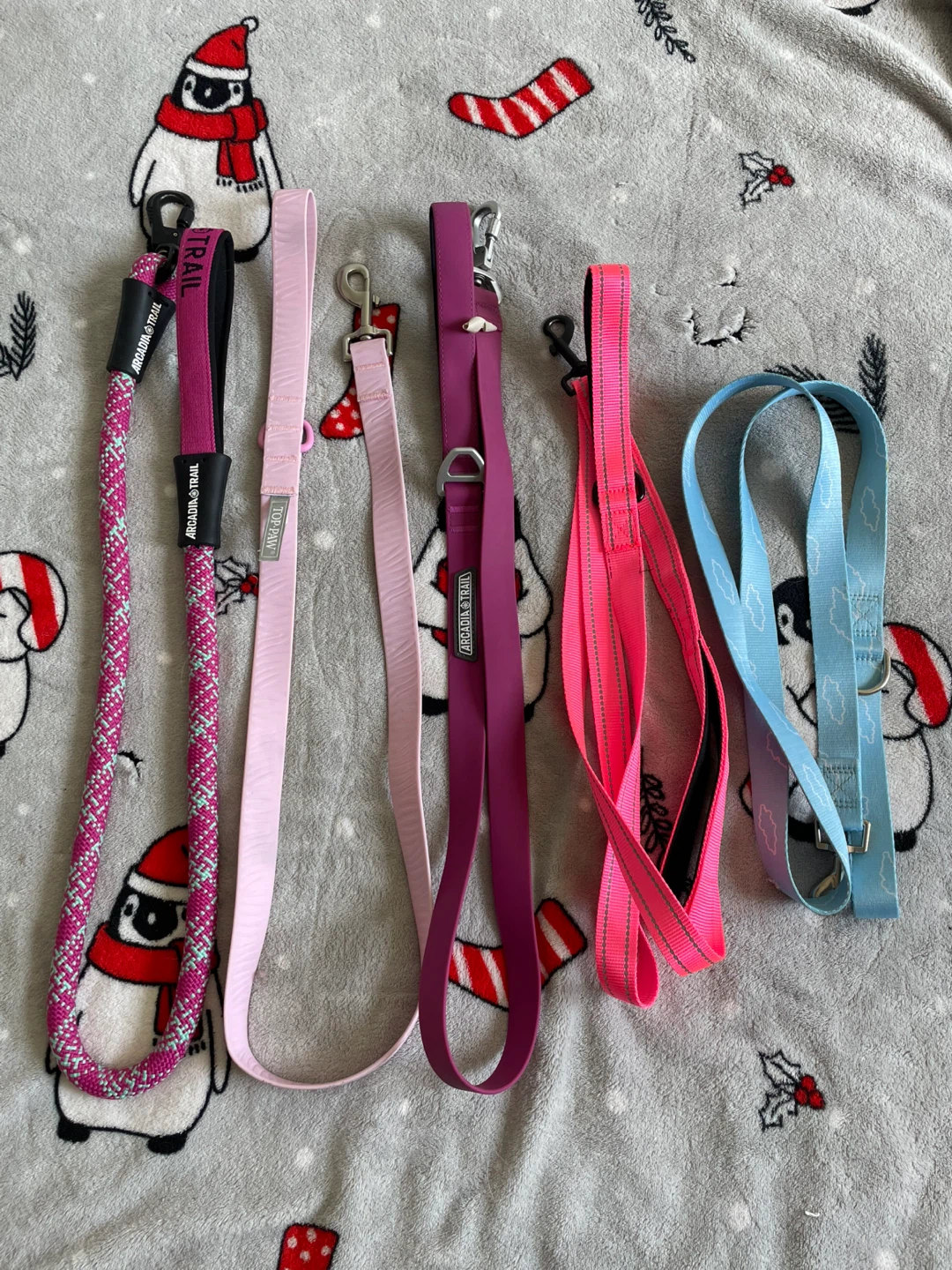 Large Dog Leashes Lot