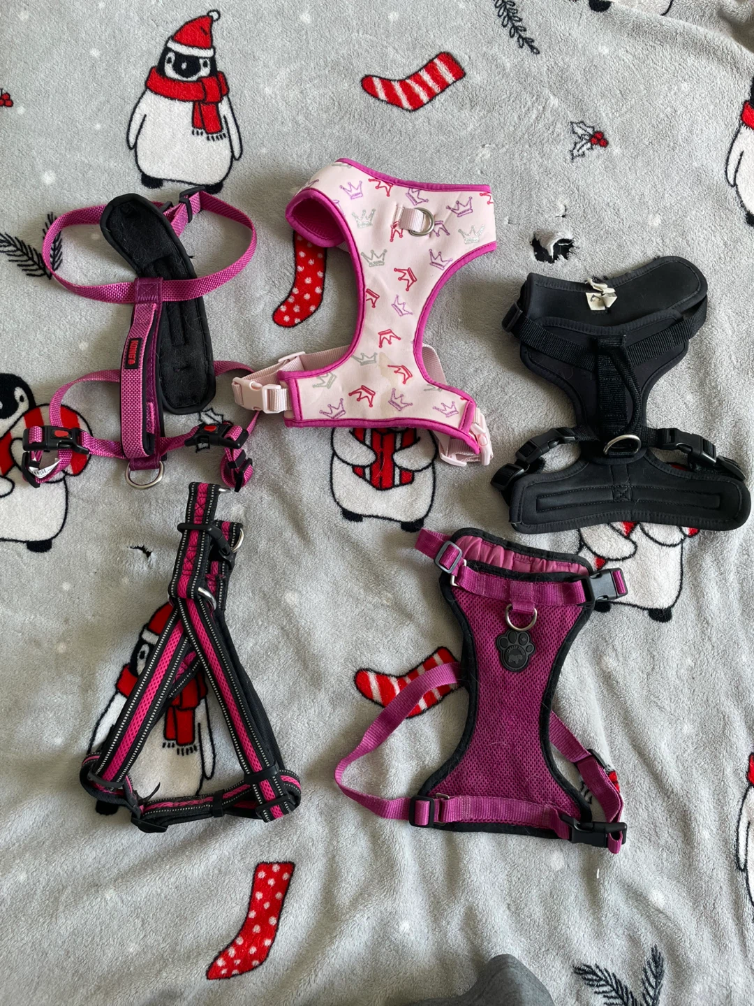 Medium Dog Harnesses Lot