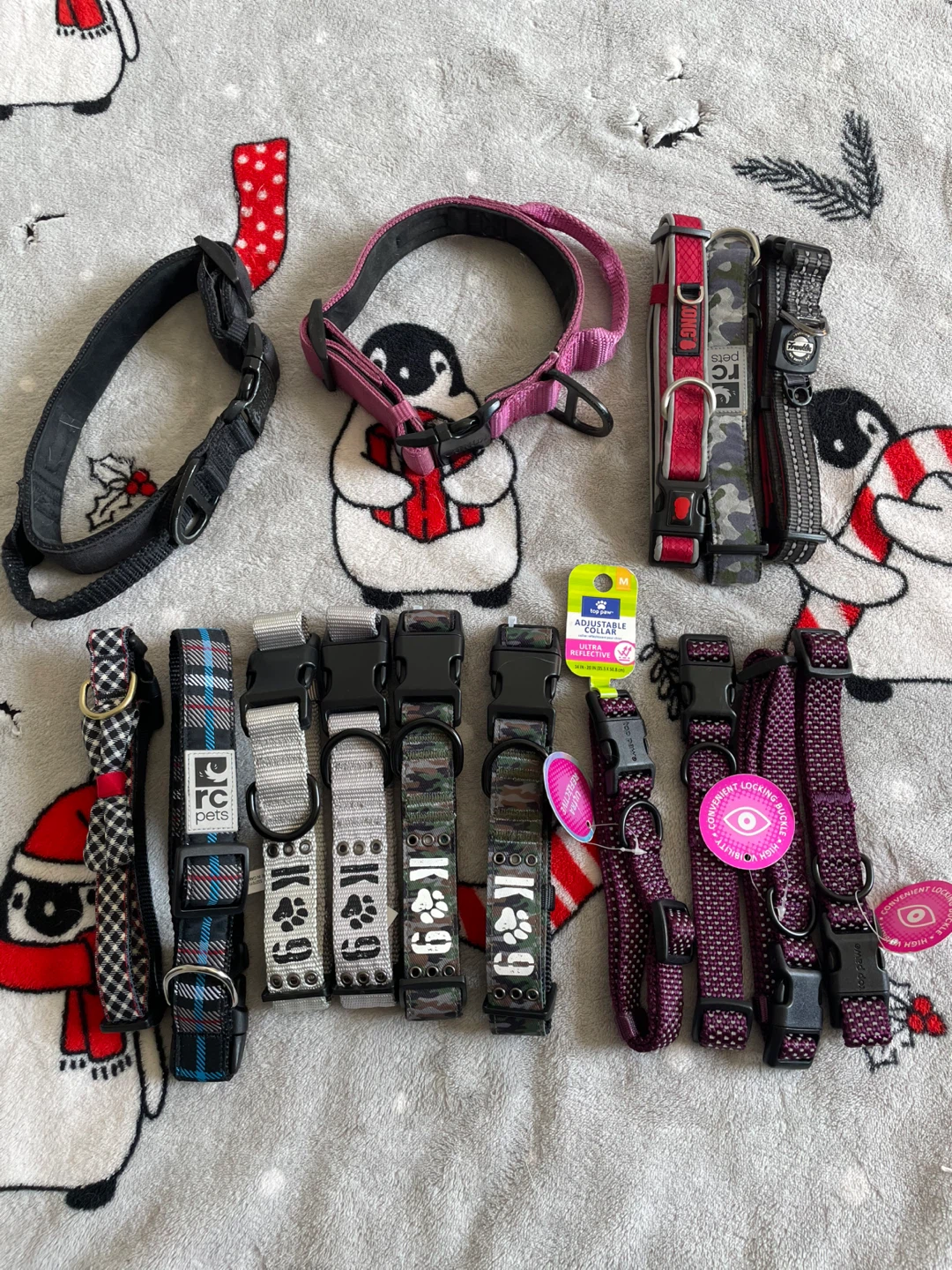 Medium Dog Collars Lot