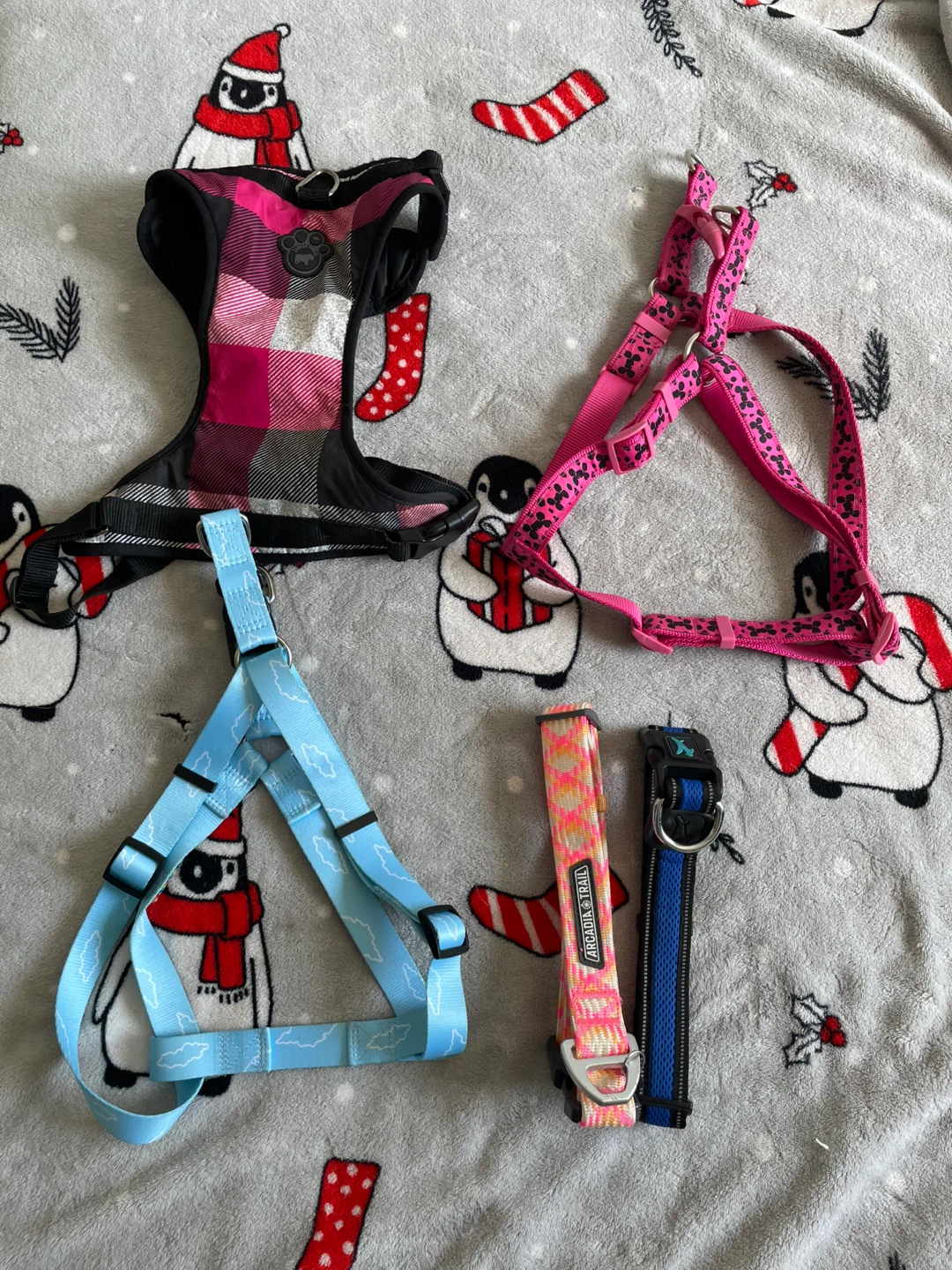 Large Dog Harnesses & Collars Lot