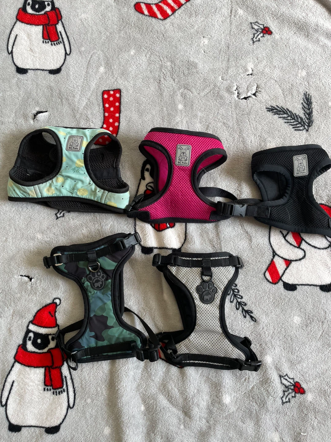 XS/S Dog Harnesses Lot