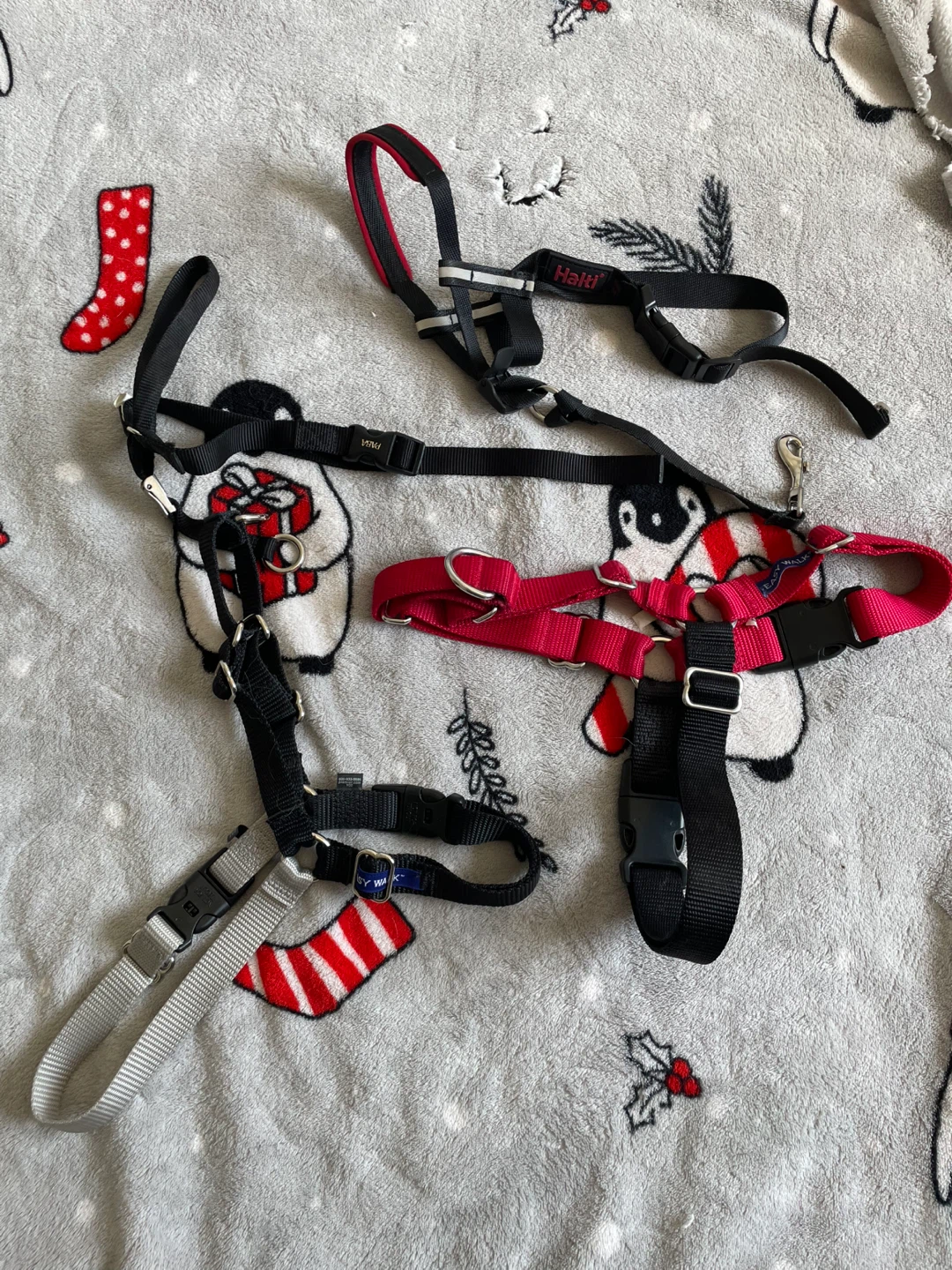 M/L Dog Haltis & Easy Walk Harness Lot