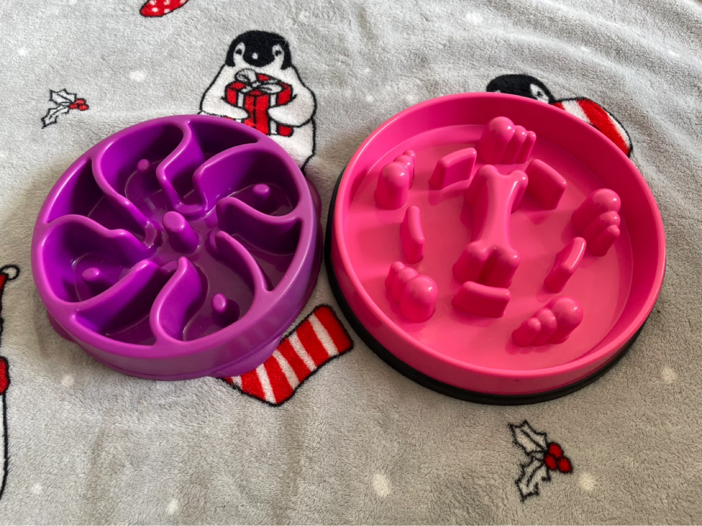 Kong & Outward Hound Slow Feeder Dog Bowls