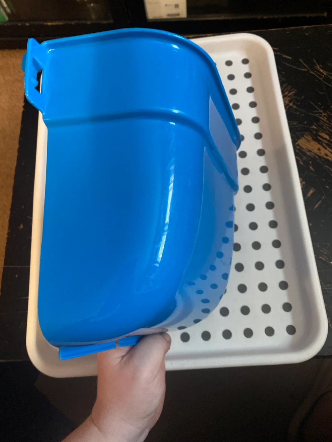 Blue Plastic Hay Feeder for Small Animal Cages - photo 2