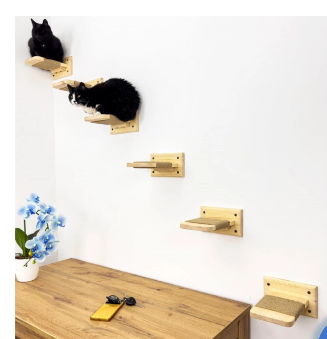 Car Wall Furniture: Shelves and Double Scratching Post - photo 2