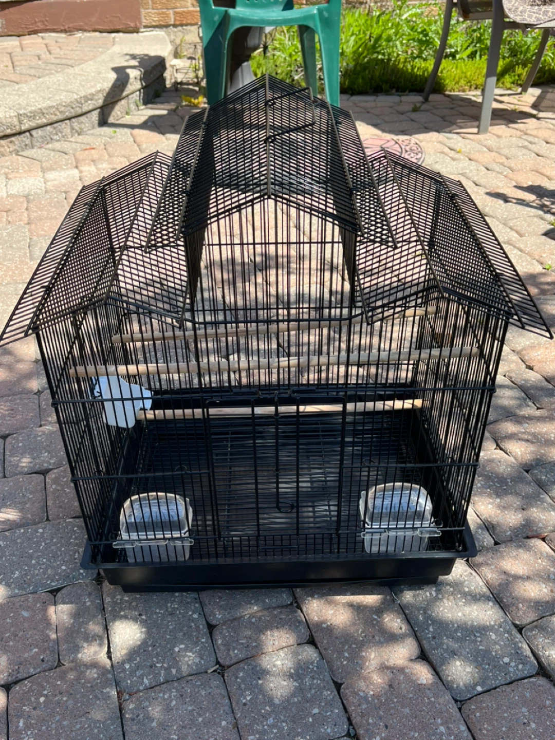Black Bird Cage with Perch and Feeders