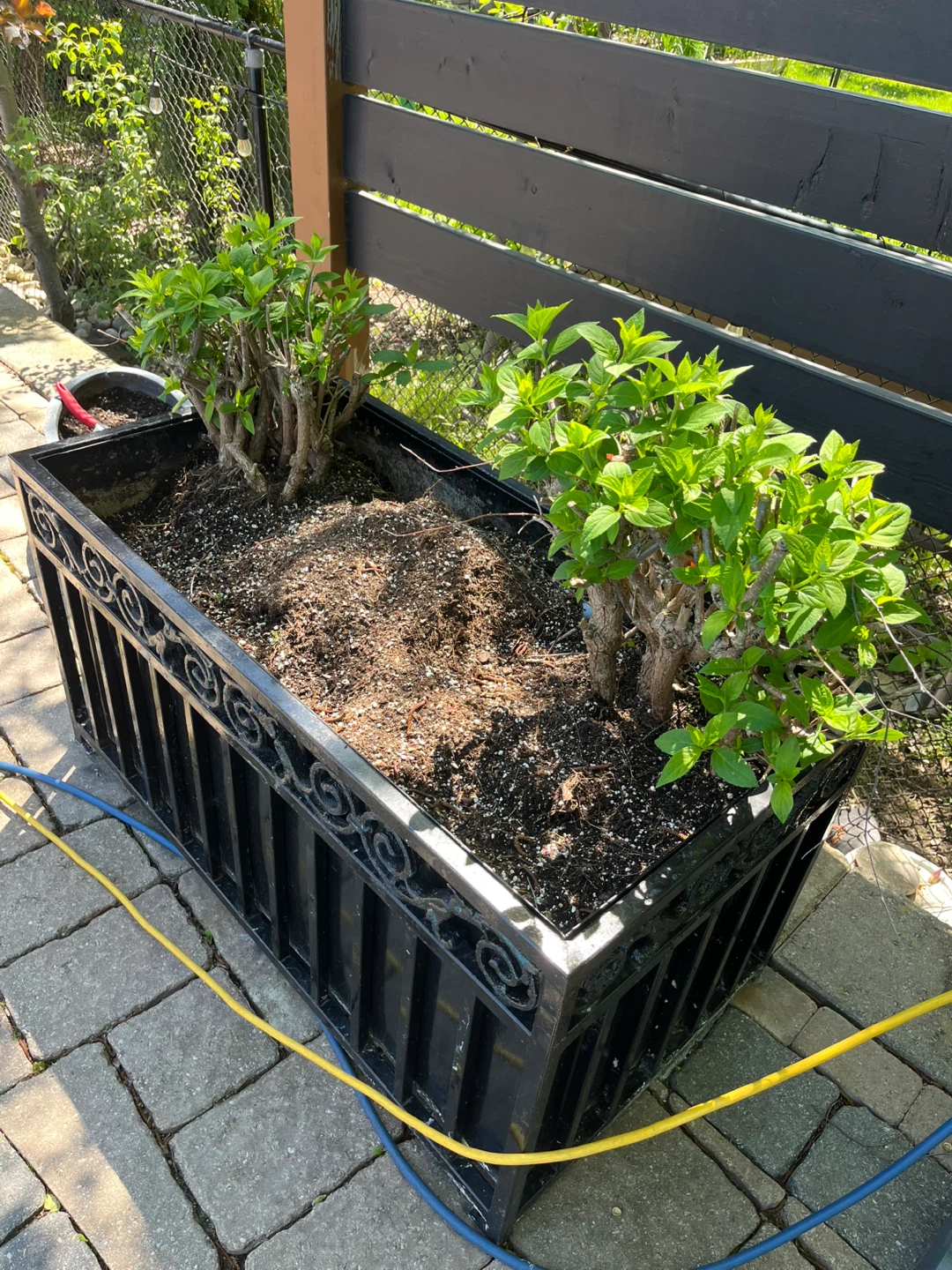 FOR SALE – COMMERCIAL GRADE CUSTOM IRON PLANTERS - photo 2