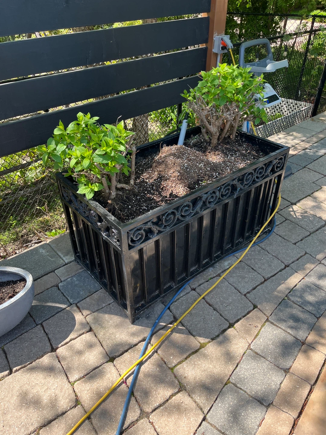 FOR SALE – COMMERCIAL GRADE CUSTOM IRON PLANTERS - photo 3