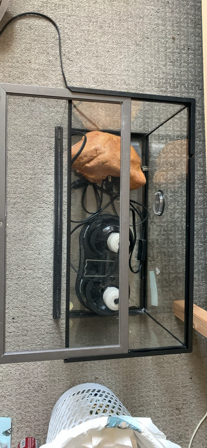 Zoo Med 10 gallon Terrarium +accessories - photo 2
