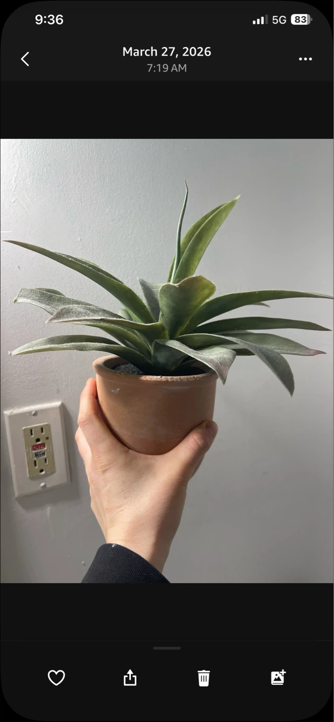 Artificial Potted Plant Set