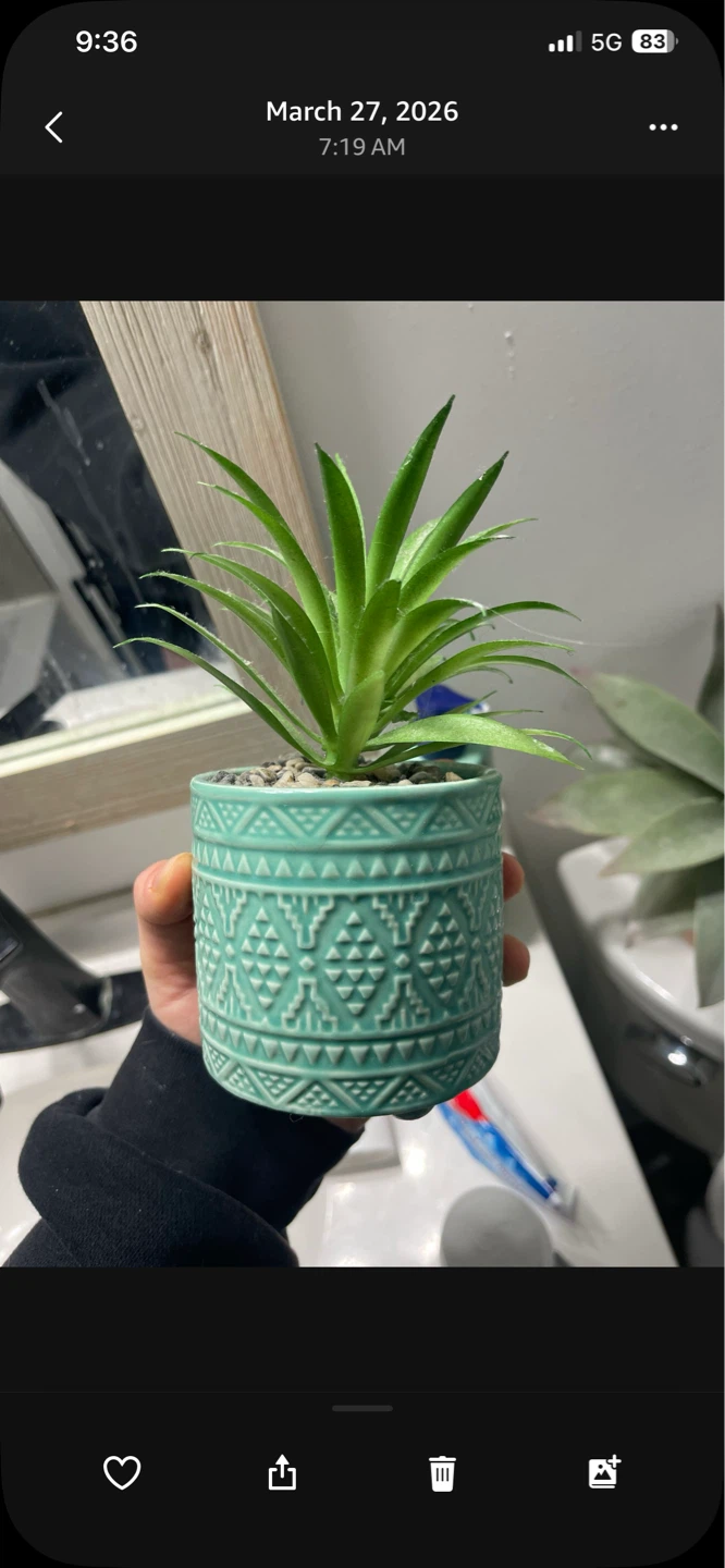 Artificial Potted Plant Set - photo 2
