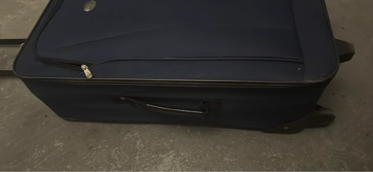 Blue Luggage - photo 5