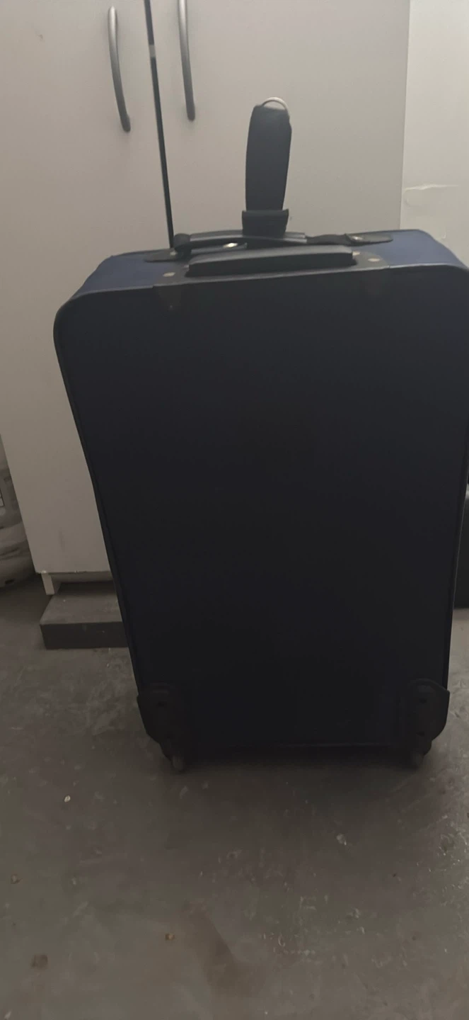 Blue Luggage - photo 4