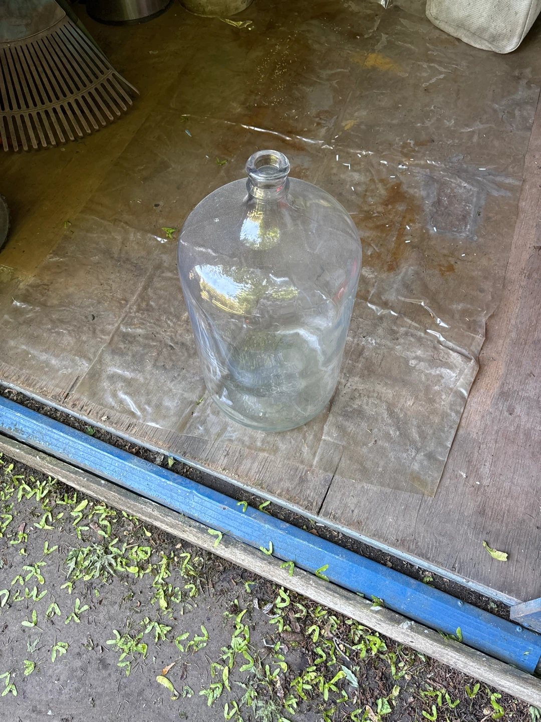 Glass container, 2 feet tall! - photo 2
