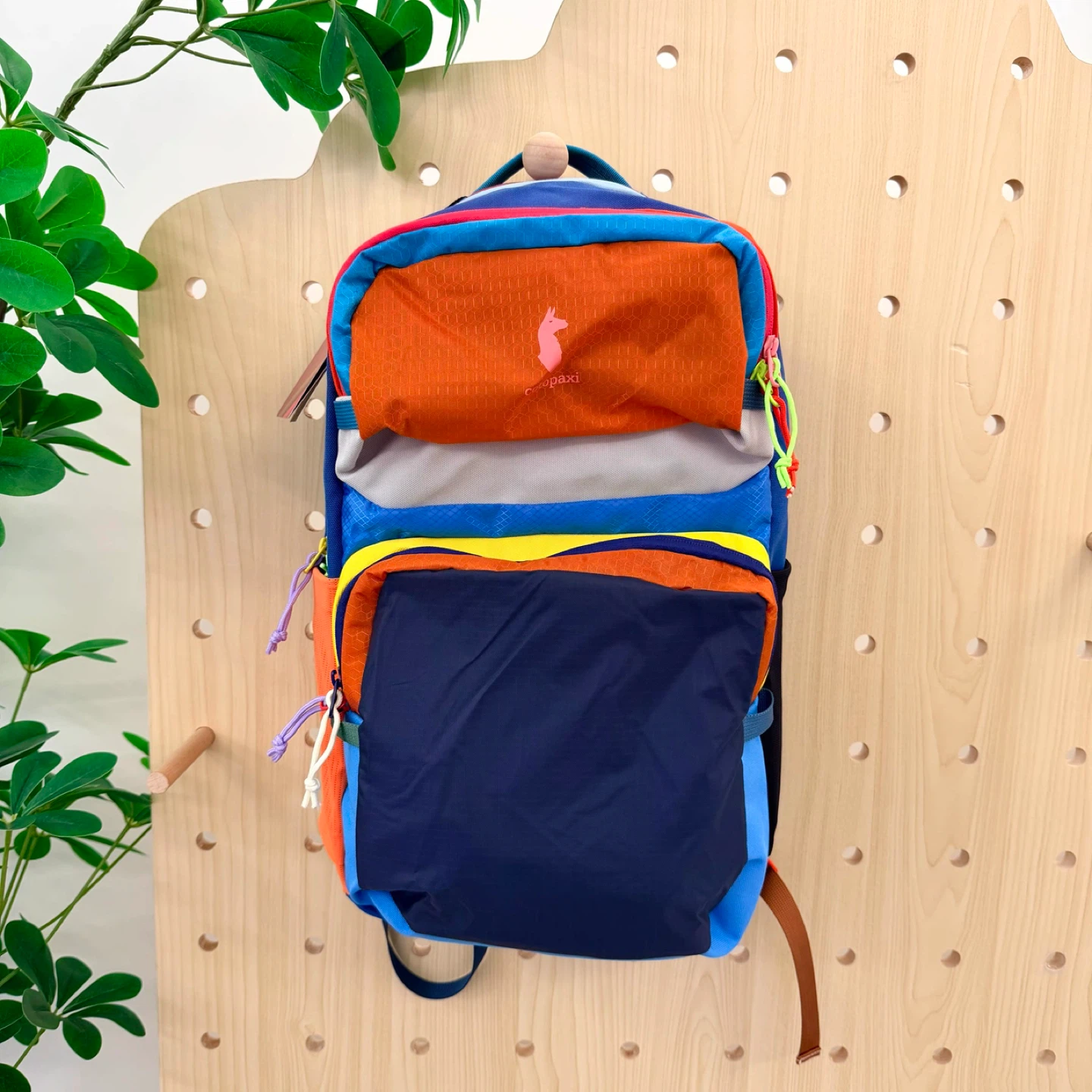 Cotopaxi Allpa 16L Backpack