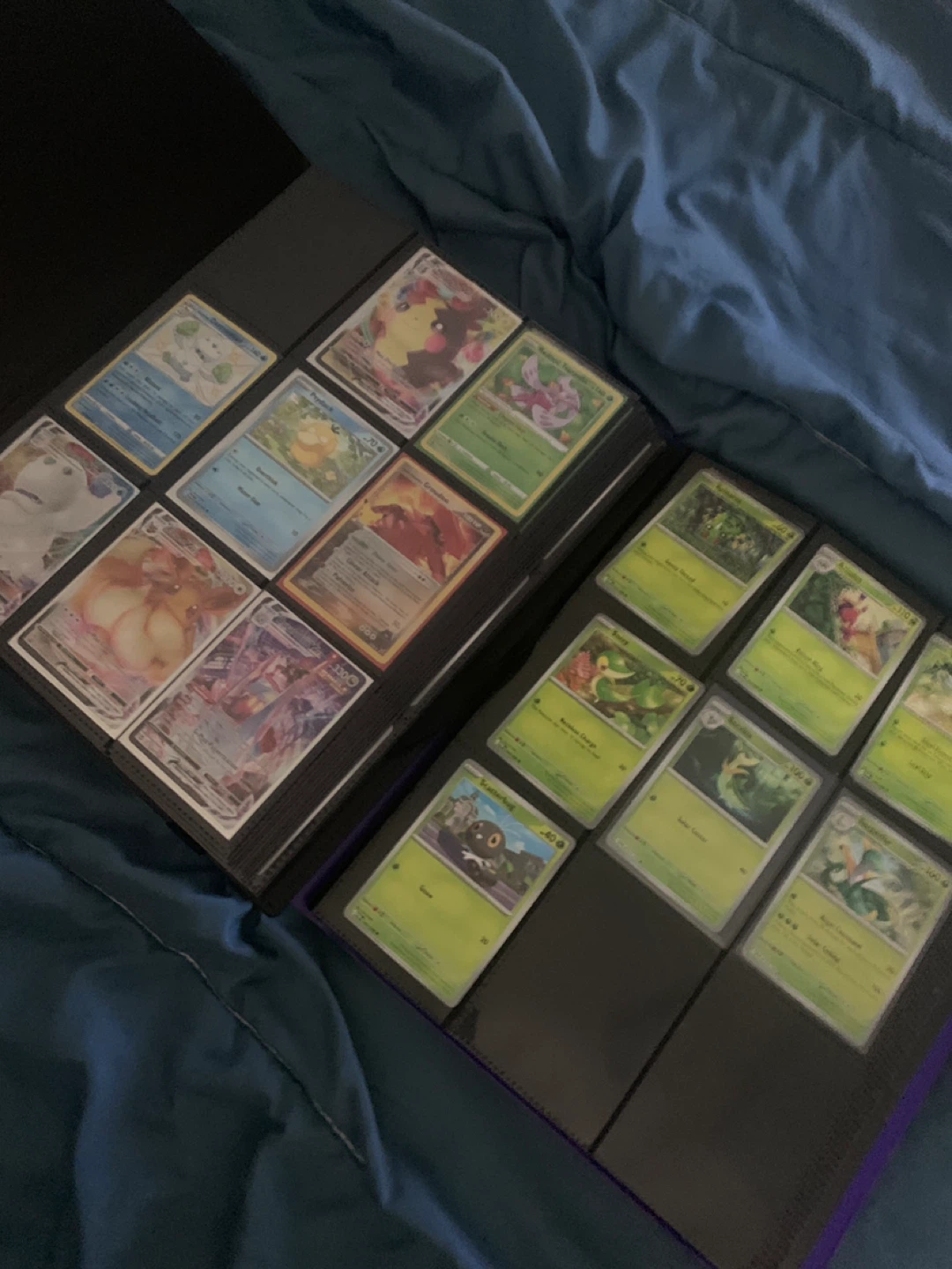 Biogenik Essentials Card Binder - photo 2