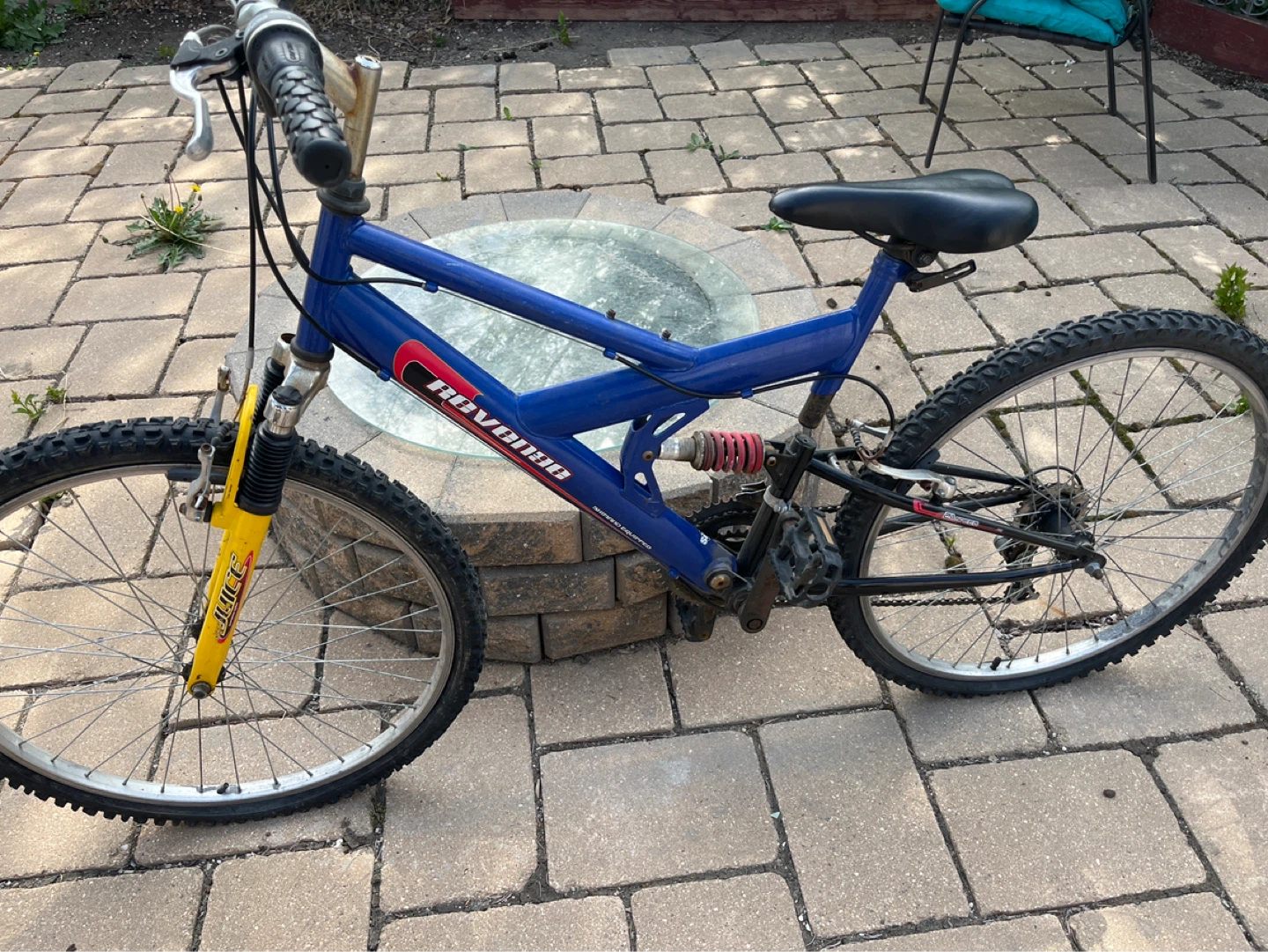 Blue Mountain Bike
