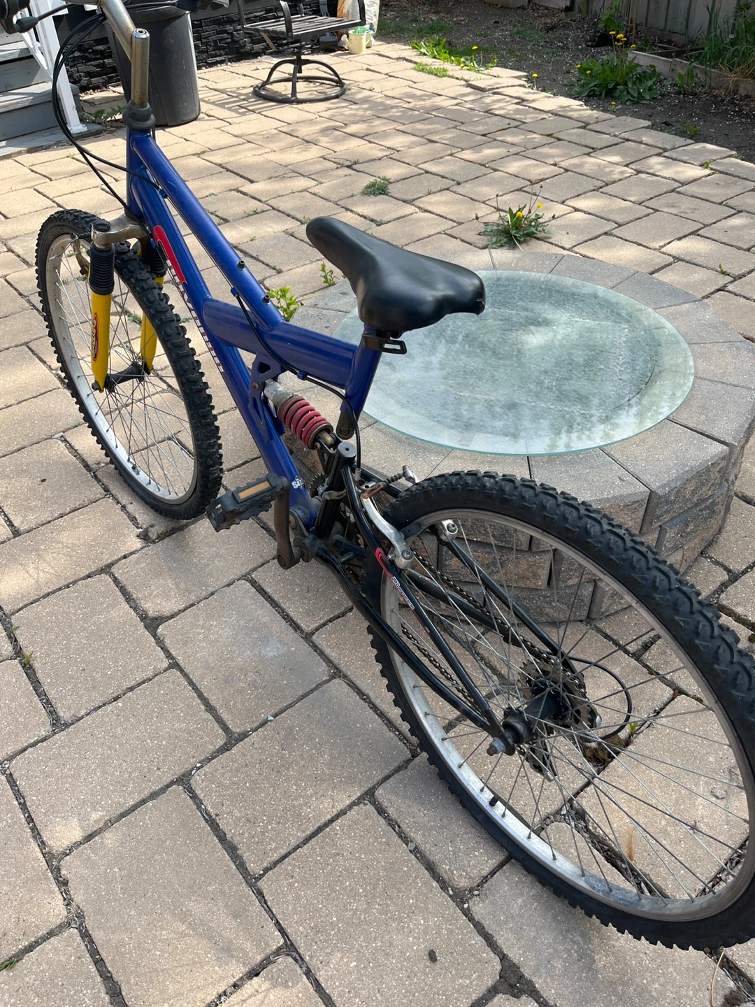 Blue Mountain Bike - photo 3