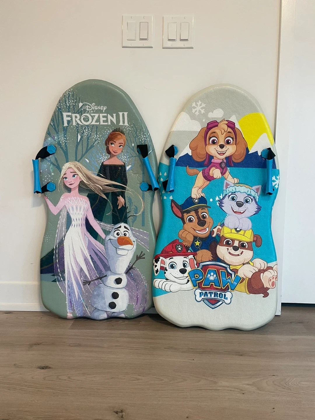 Disney Frozen II & Paw Patrol Kids Sleds