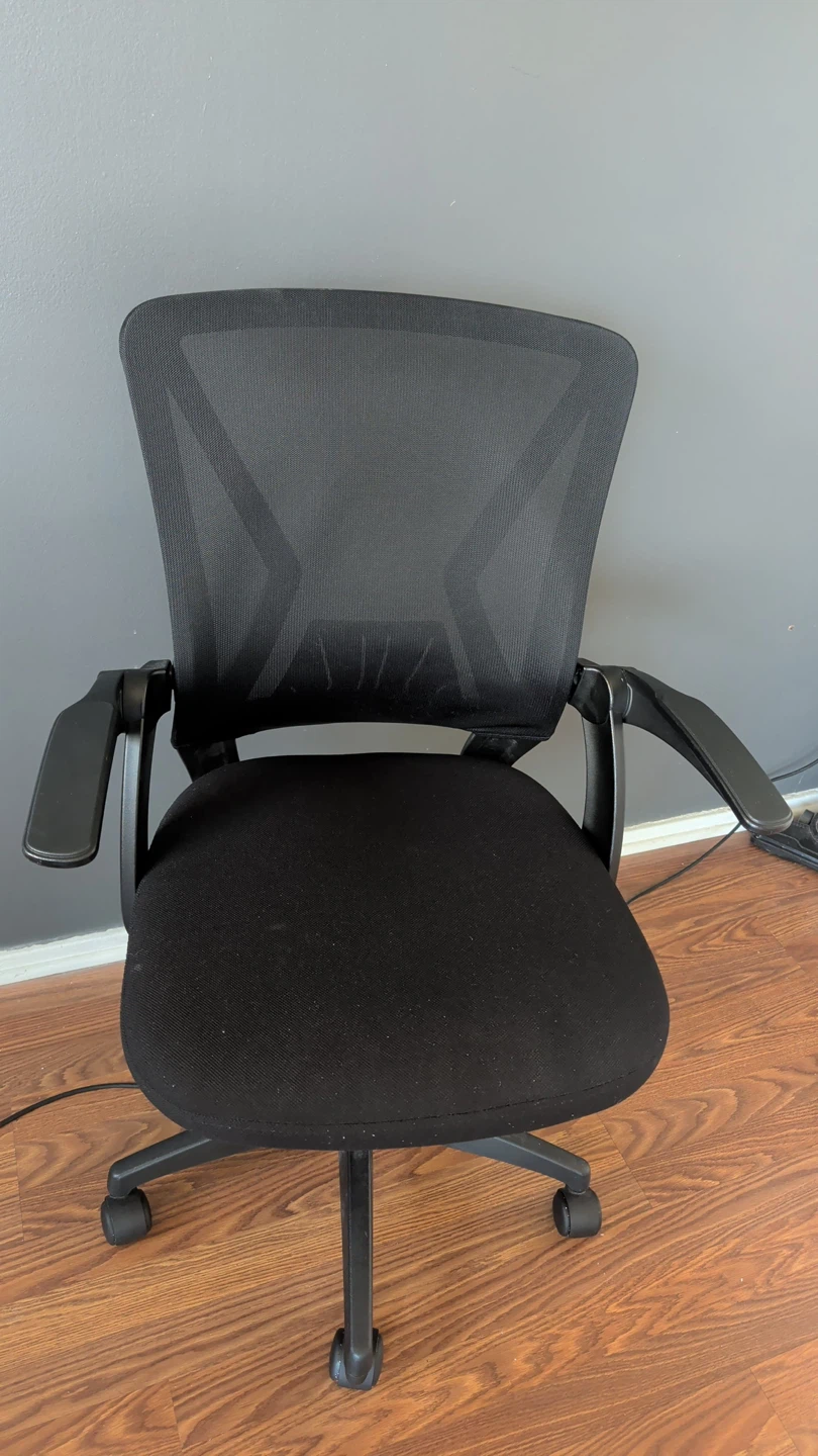 Black Mesh Desk Chair with Padded Seat
