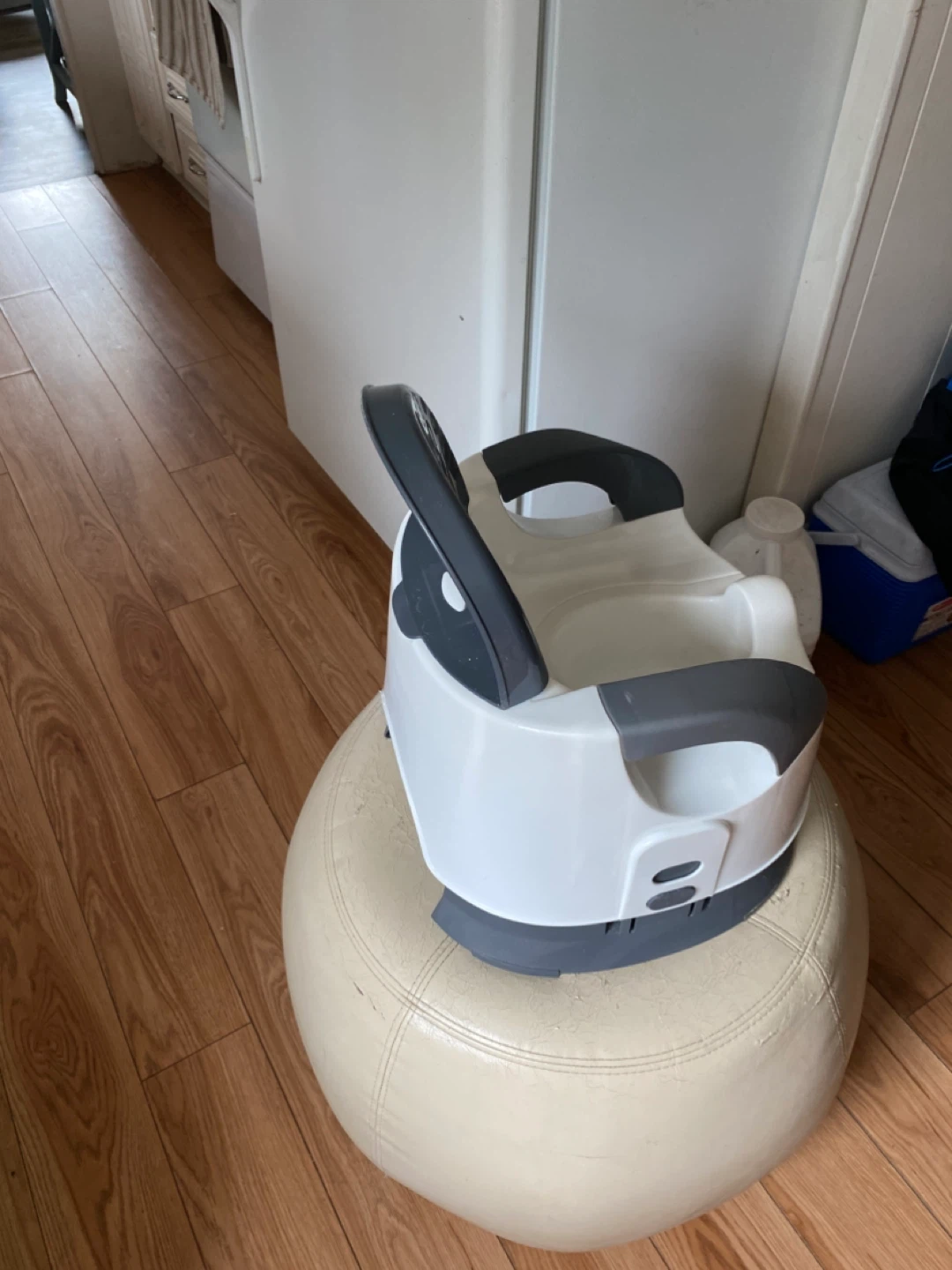 Fisher-Price Toddler Potty Training Seat - photo 2
